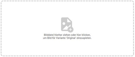 +++ +++
