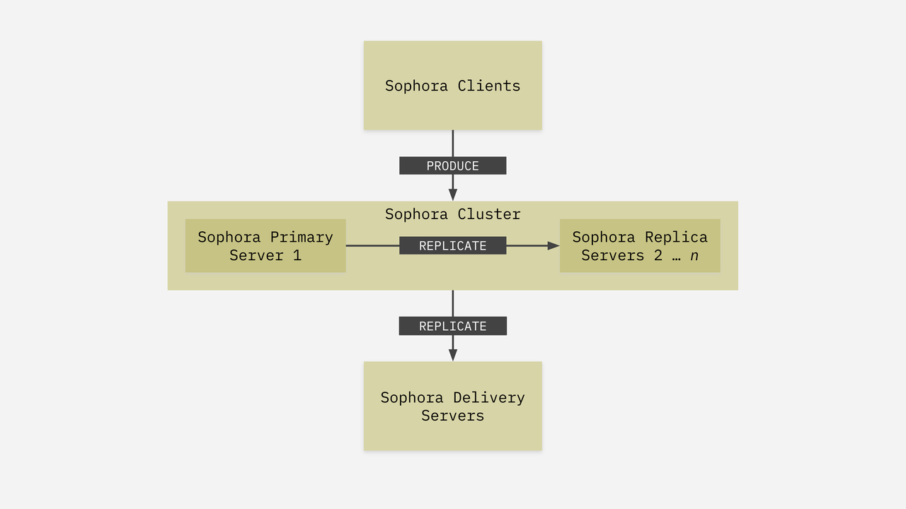 Schematic Overview of Sophora's Cluster