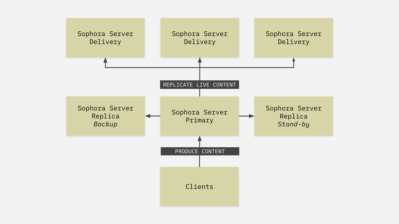 Typical Sophora Server Infrastructure