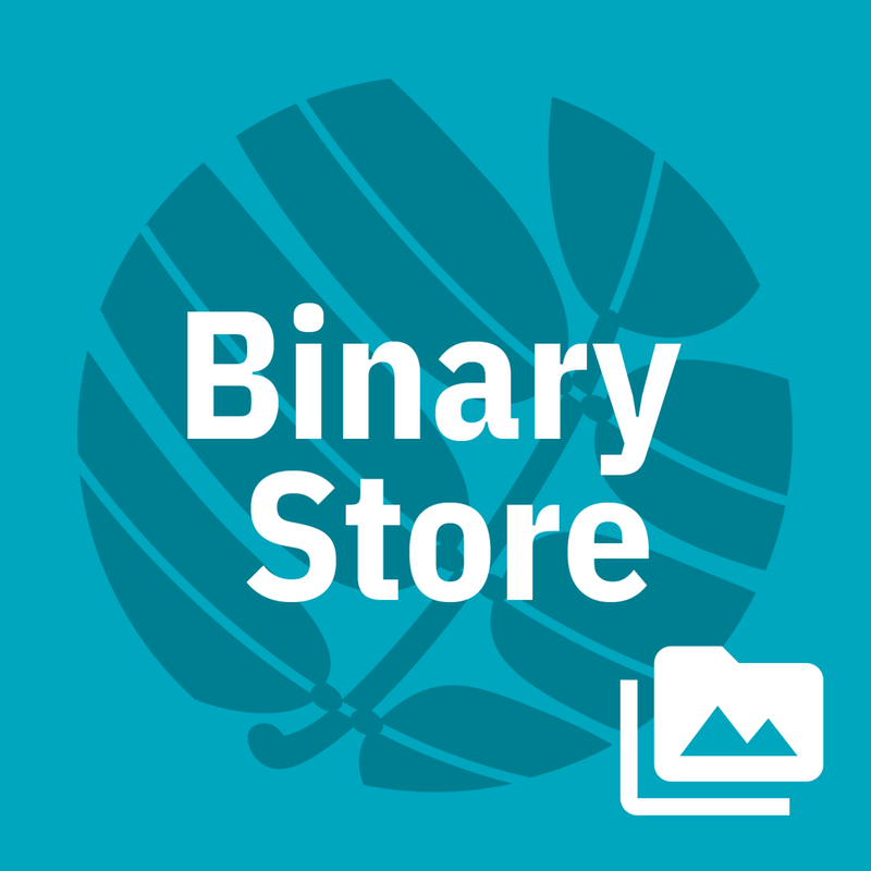 Binary Store