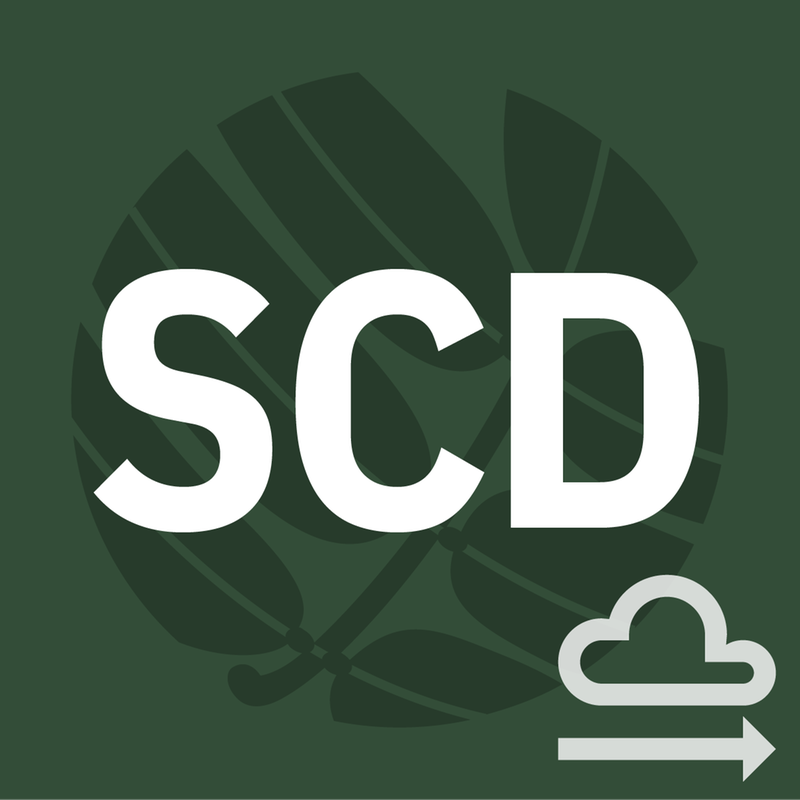 Sophora Cloud Delivery