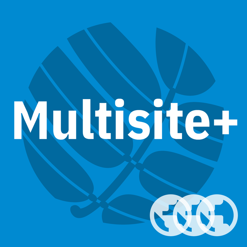 Multisite Plus