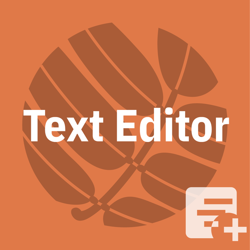 Text Editor